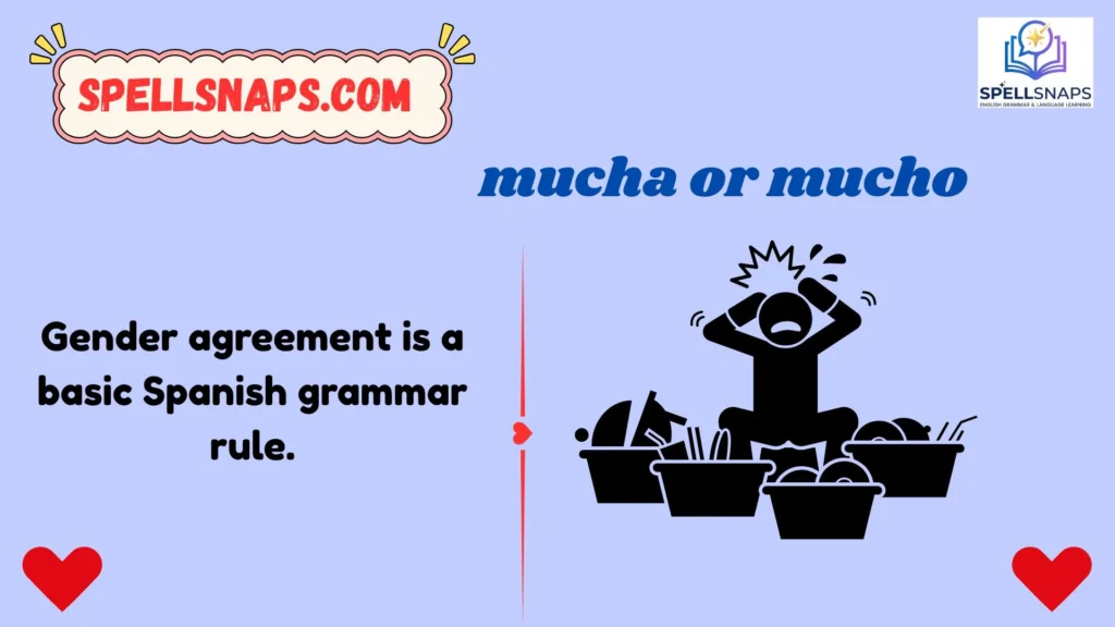 Mucha or Mucho Grammar