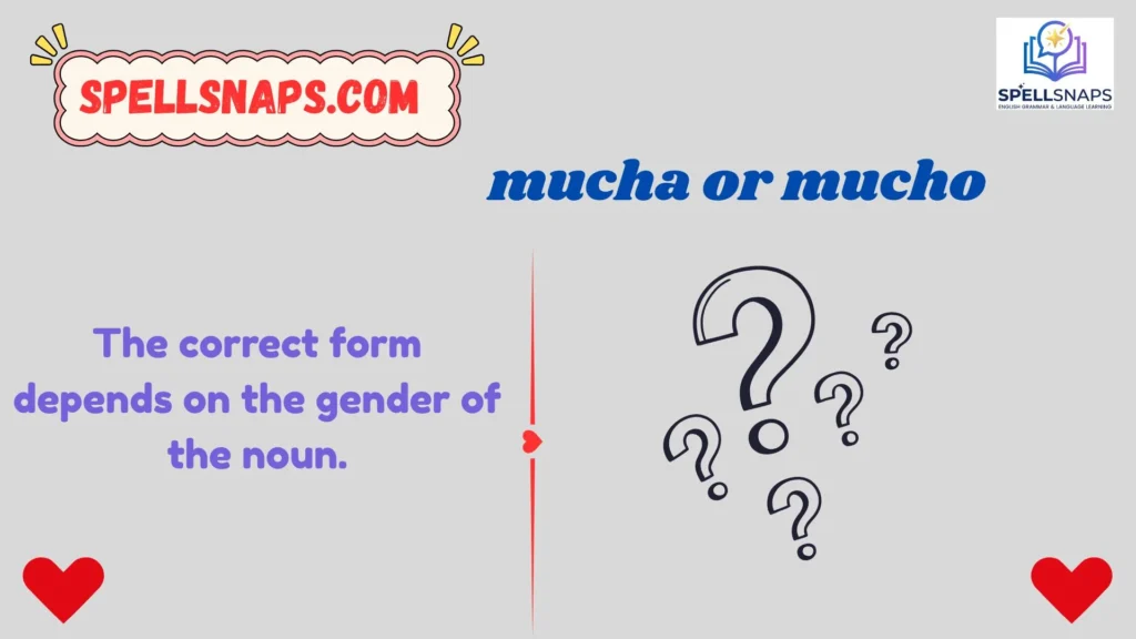 Mucha or mucho meaning