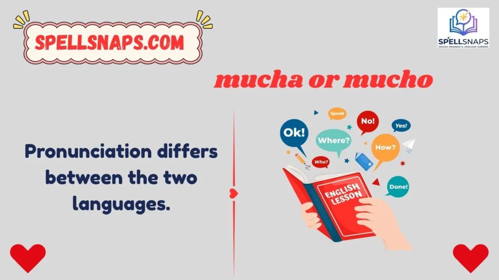 Mucho Meaning In Italian
