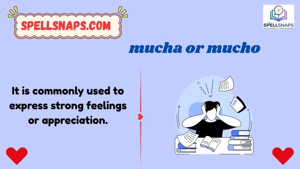 Mucho Mucho Meaning In English