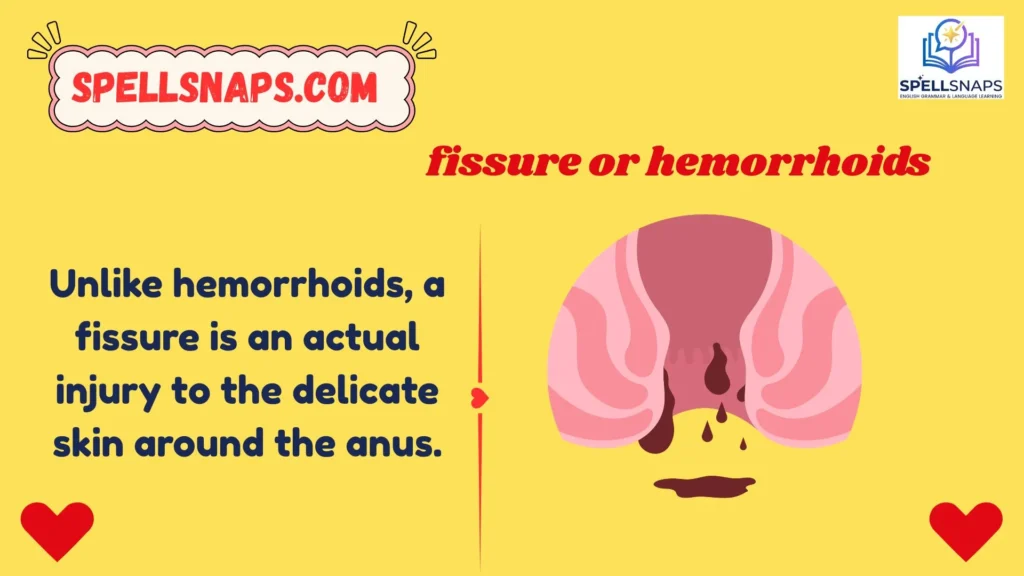 What Is Fissure?