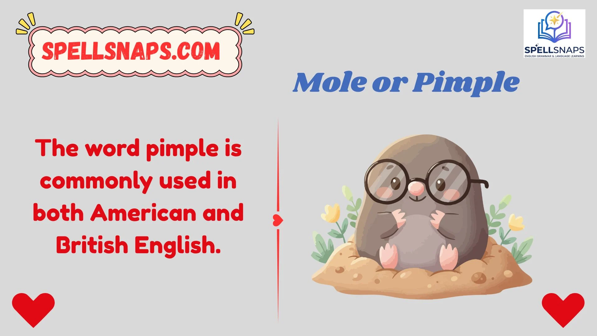 Mole or Pimple