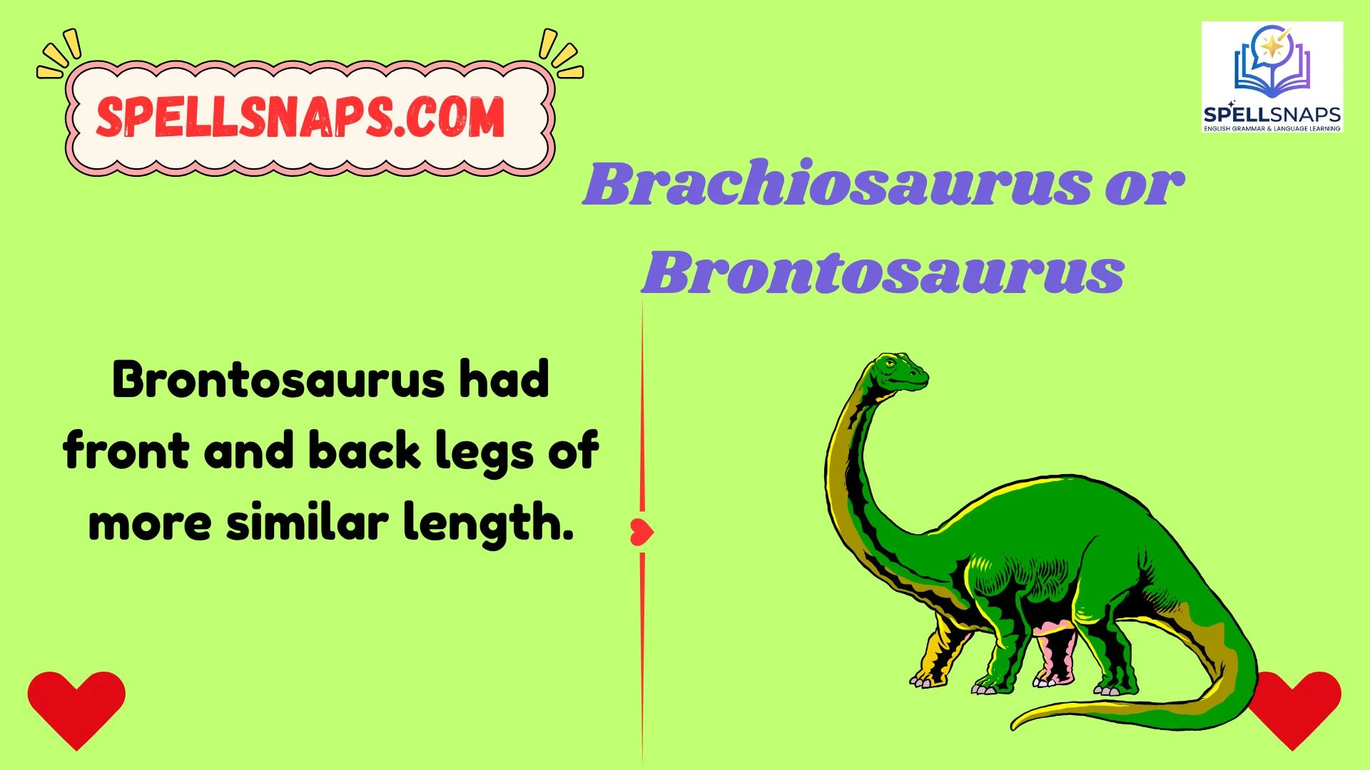 Brachiosaurus or Brontosaurus
