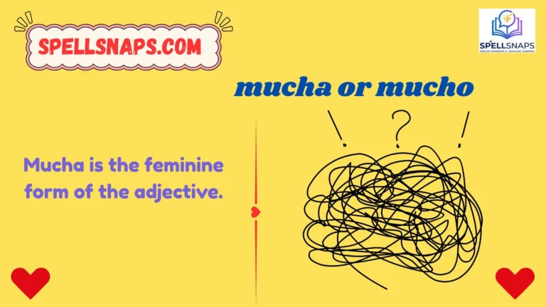 Mucha or Mucho