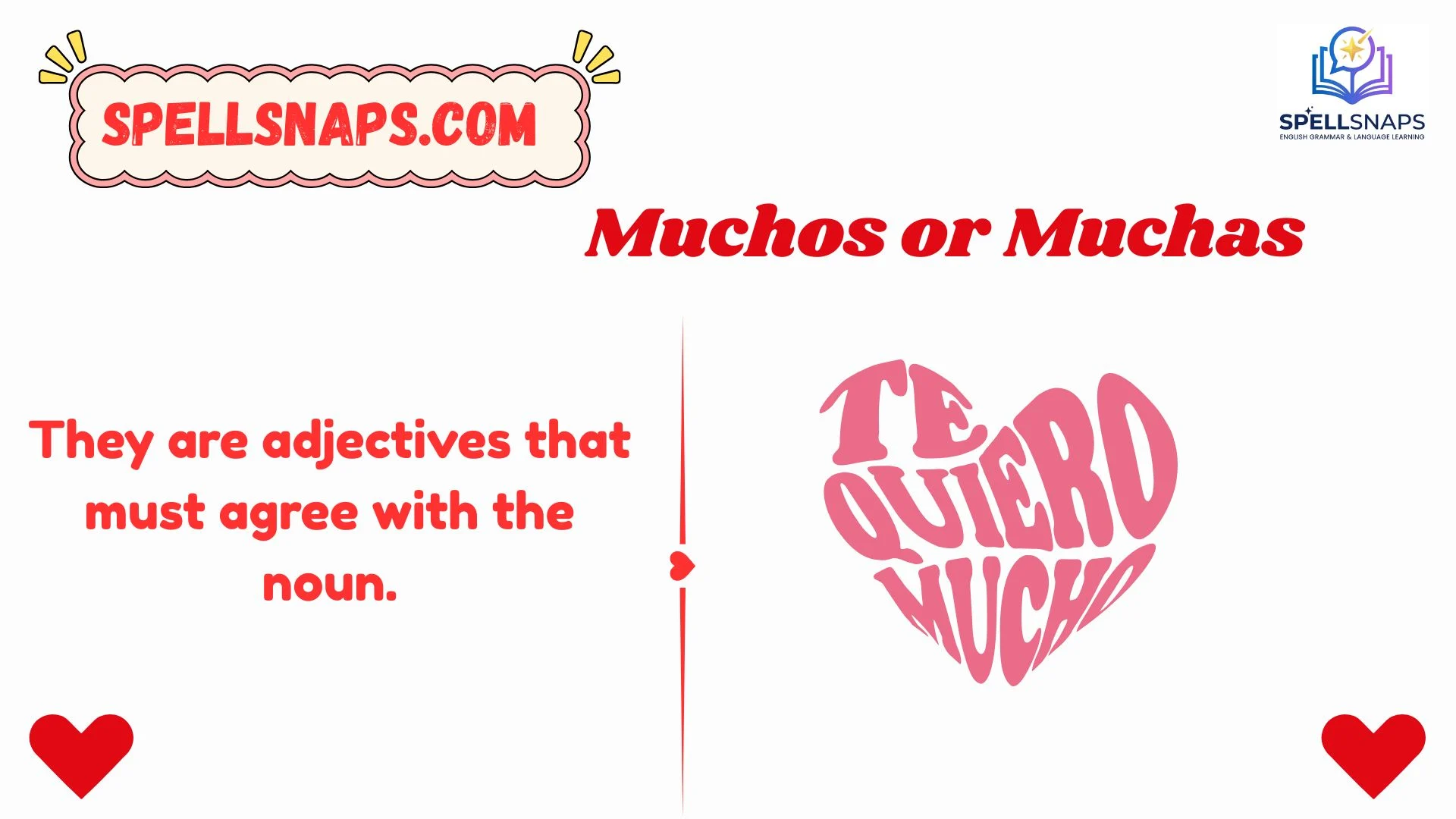 Muchos or Muchas