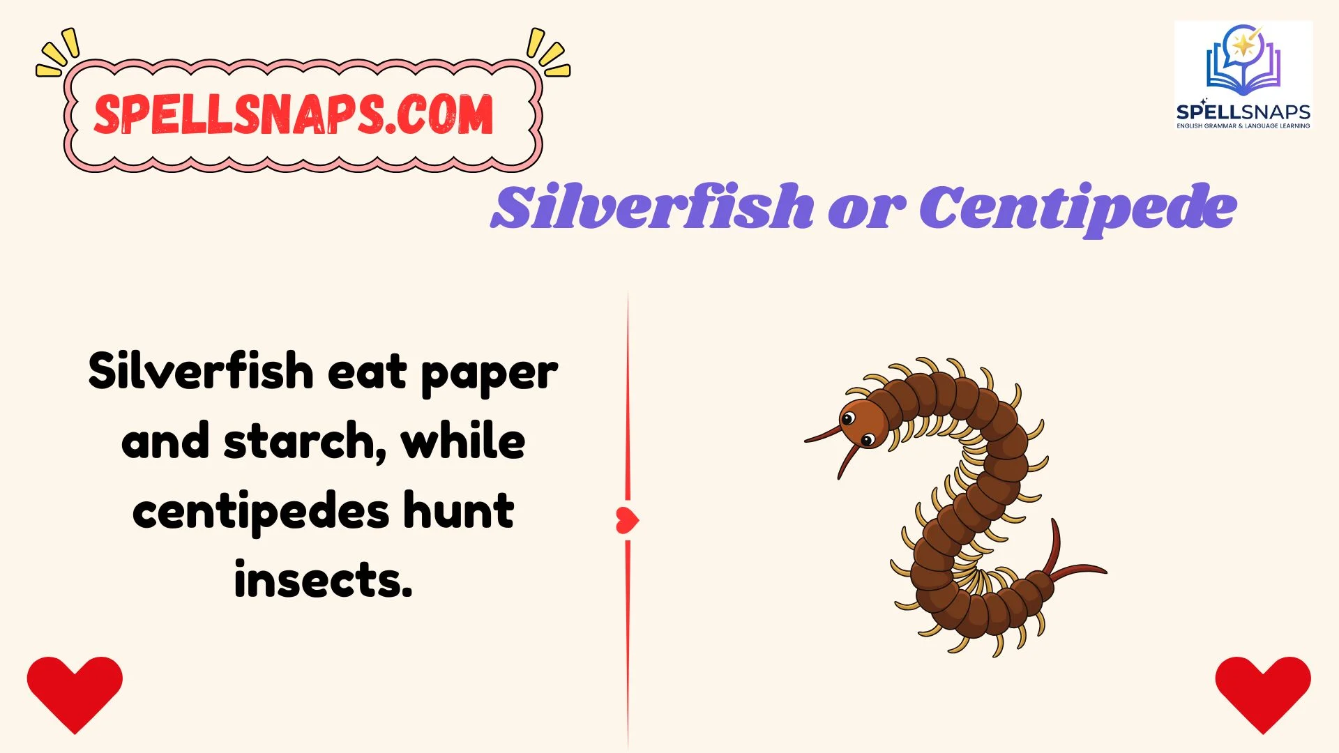 Silverfish or Centipede